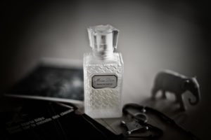 dominique-aru-040609-001